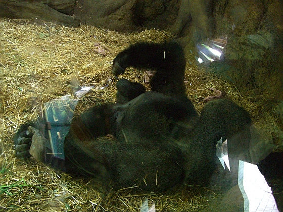 c0110906_11413360.jpg