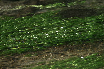 f0041606_20205495.jpg