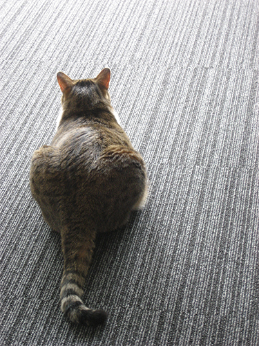 c0114110_1572541.jpg