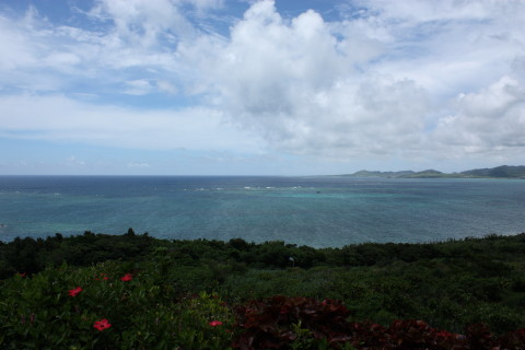 d0077811_1325524.jpg