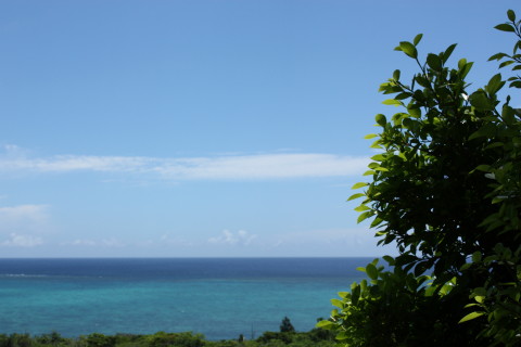 d0077811_1383645.jpg