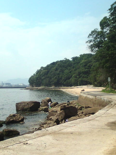 e0094315_1493231.jpg