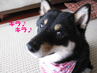 c0185516_12474742.jpg