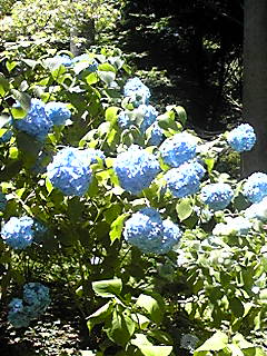 d0088920_18302380.jpg