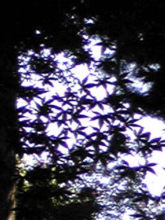 d0088920_18324198.jpg