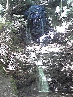 d0088920_1832662.jpg
