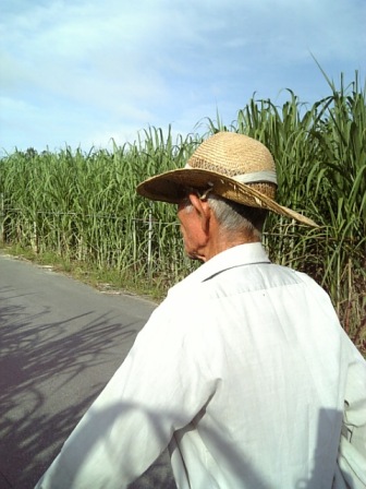 f0031420_8241343.jpg