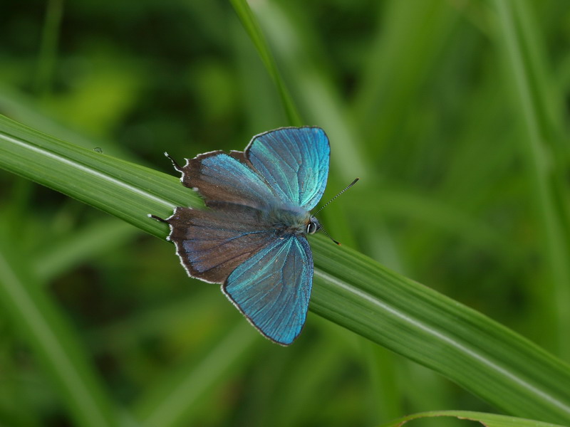 d0090322_21264885.jpg