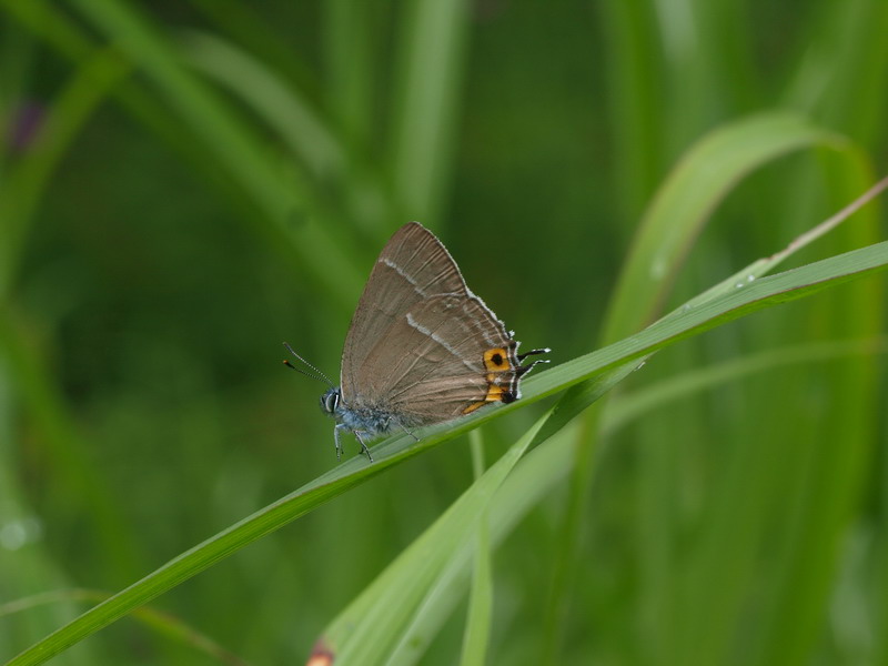 d0090322_2127614.jpg