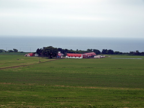 b0171523_1251842.jpg