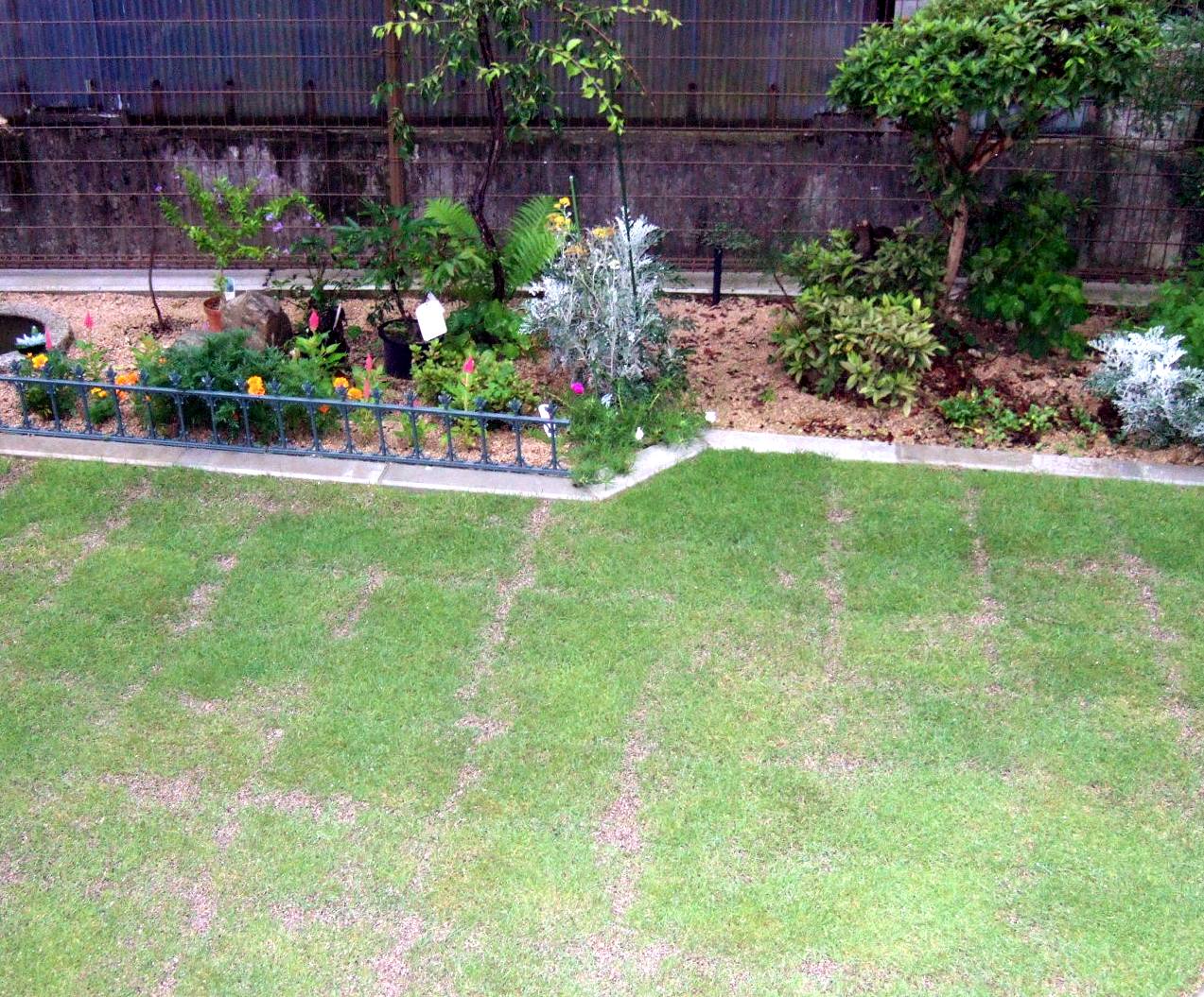 c0020725_1424280.jpg