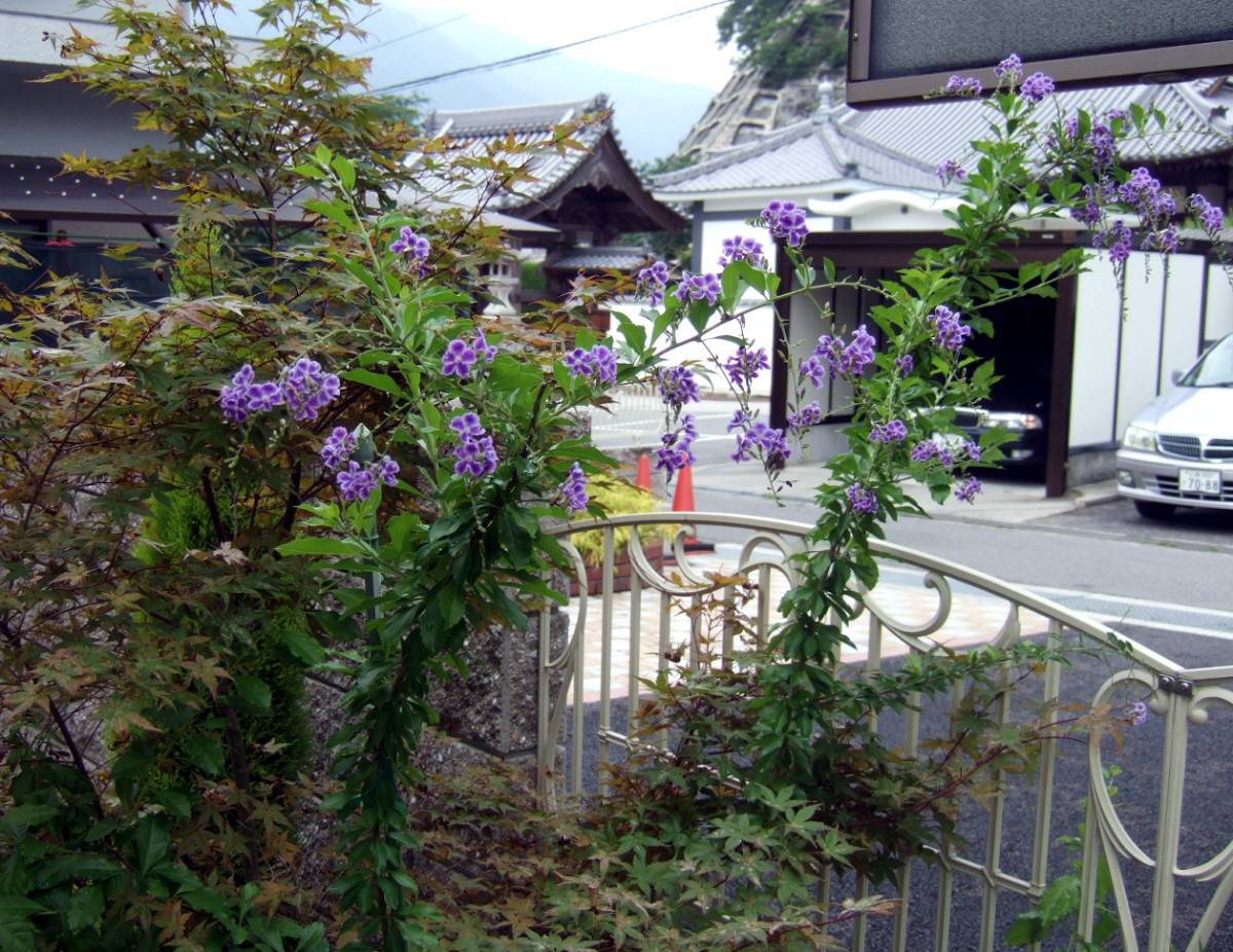 c0020725_1484559.jpg