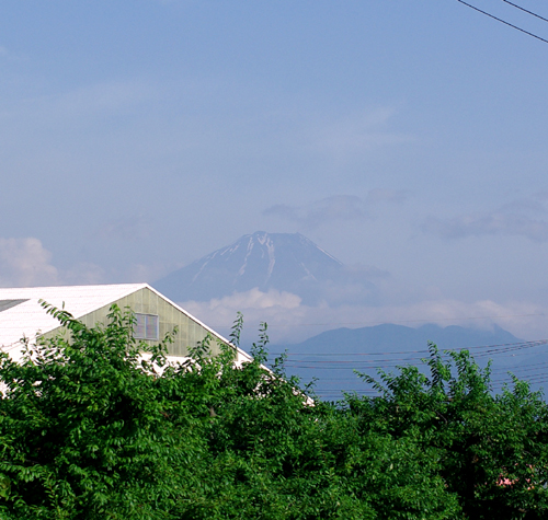 c0077129_2021869.jpg