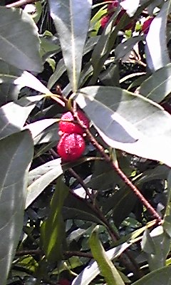b0186130_2157023.jpg