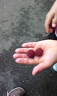 b0186130_21592370.jpg