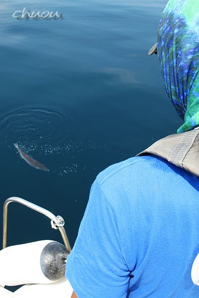 f0146531_21342798.jpg