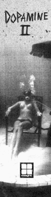 a0120533_19561095.gif