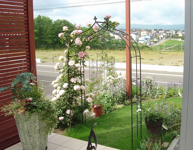 f0205733_118289.jpg