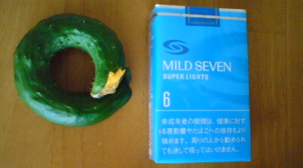 c0157540_8491265.jpg
