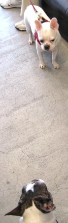 f0142543_5253882.jpg