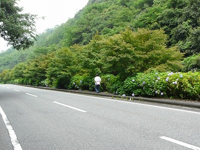 f0148244_1755136.jpg