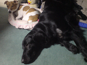 f0095047_2324318.jpg