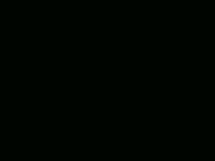 e0005548_20122735.gif