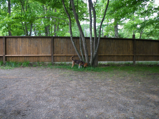 f0046250_21172962.jpg
