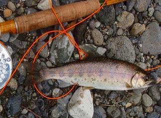 c0097652_16172299.jpg