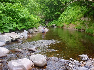 c0097652_16254759.jpg
