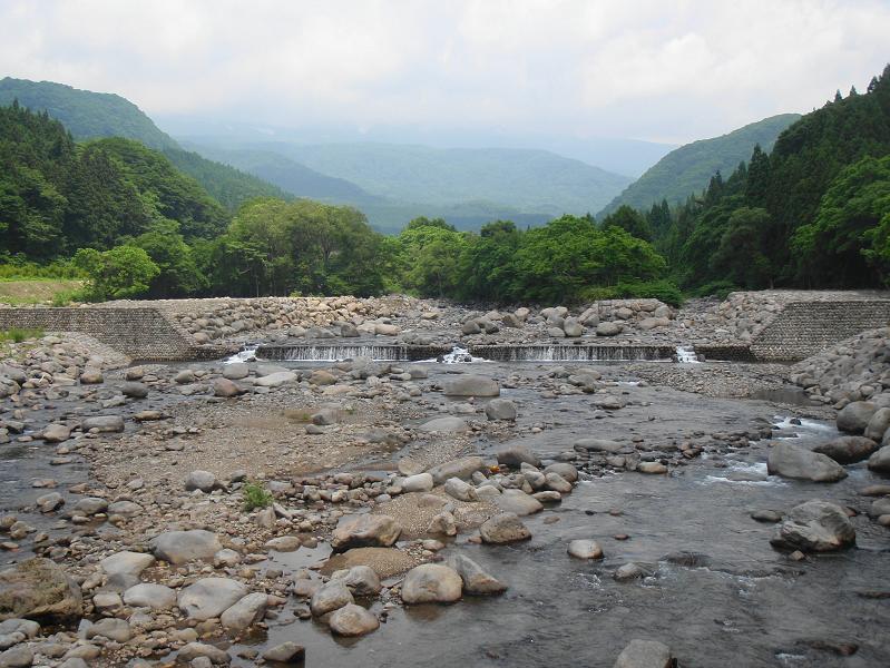 b0177355_1525182.jpg