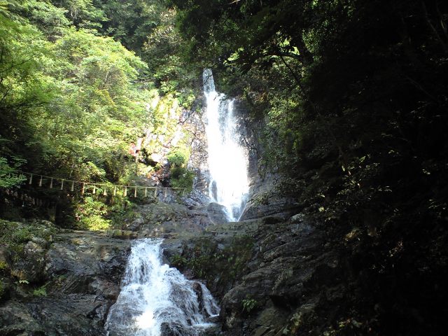 b0002156_1312485.jpg