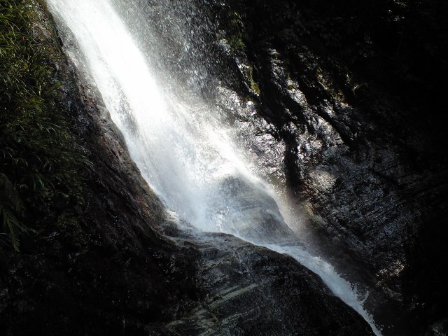 b0002156_132725.jpg