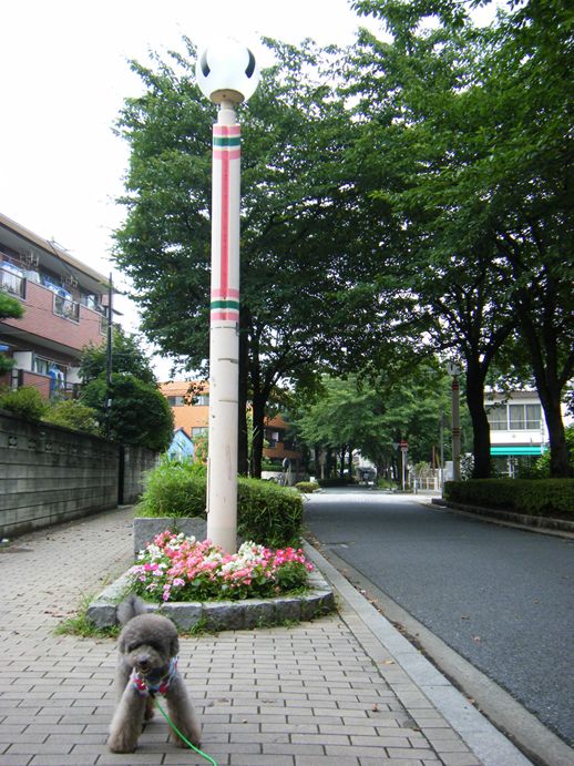 e0129656_2223501.jpg