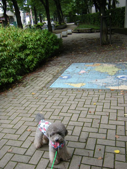 e0129656_2223593.jpg
