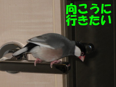 b0158061_2124640.jpg
