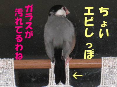 b0158061_2135149.jpg