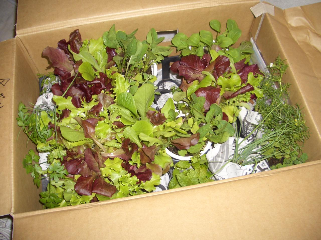 e0133362_14423064.jpg