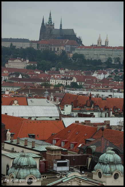 b0087463_11848.jpg