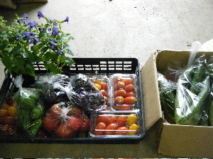 b0079965_6273789.jpg