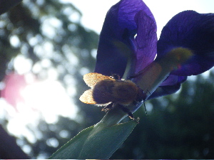 b0079965_653193.jpg