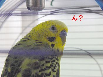 f0196665_0501076.jpg