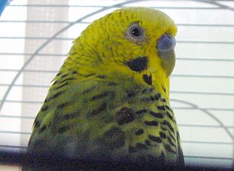 f0196665_0502853.jpg