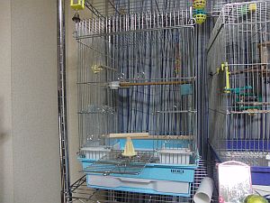 f0196665_23565910.jpg