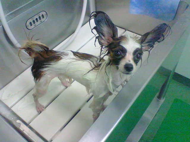 c0002967_2194189.jpg