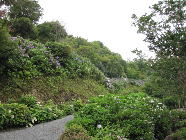 f0085369_0341097.jpg