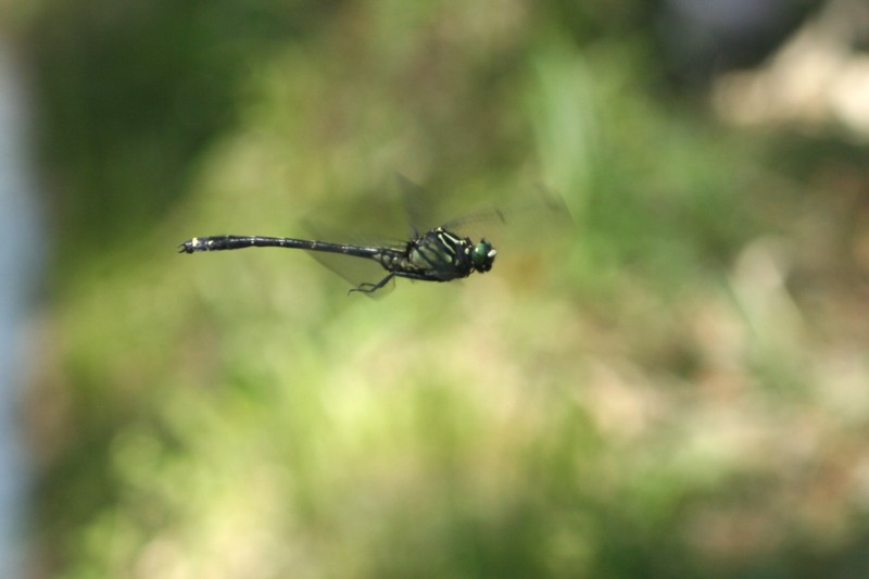 b0088772_2052524.jpg