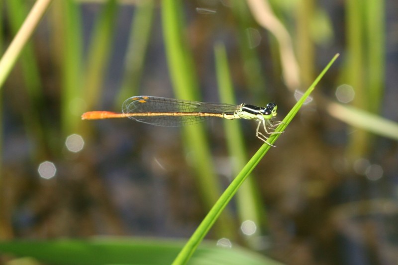 b0088772_205613.jpg