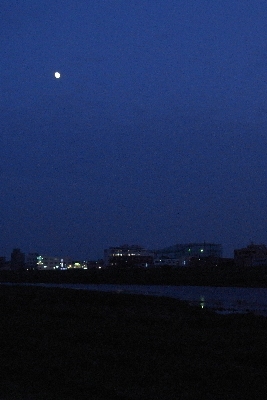 c0091679_1351386.jpg