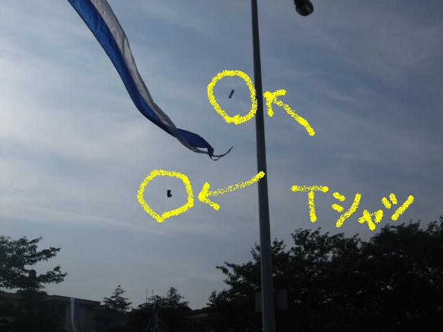 e0123680_13595376.jpg